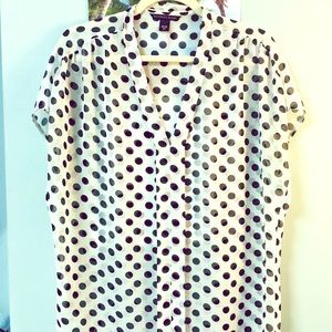 Black and white polka dot sheer top